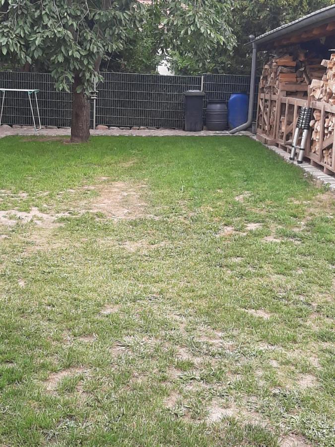 Ferienhaus Flotte Biene In Buggow Rubkow Екстериор снимка
